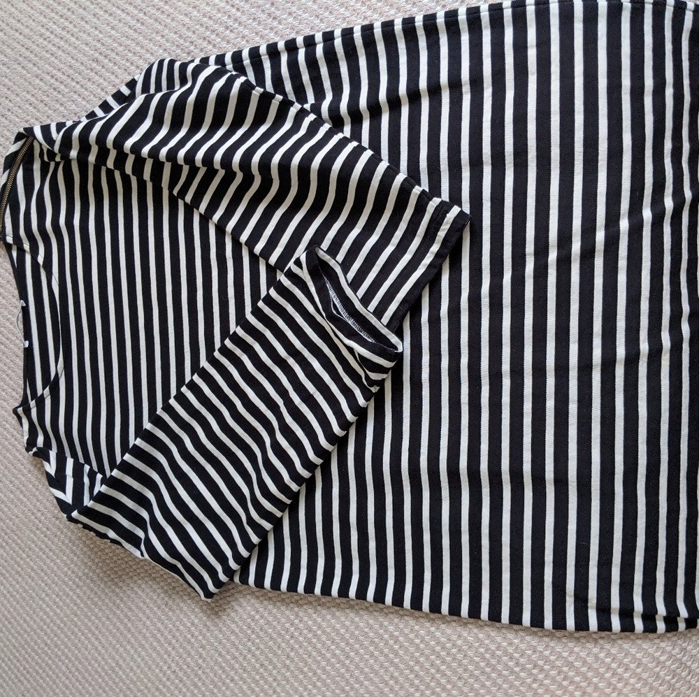 Everlane Stripe Dress